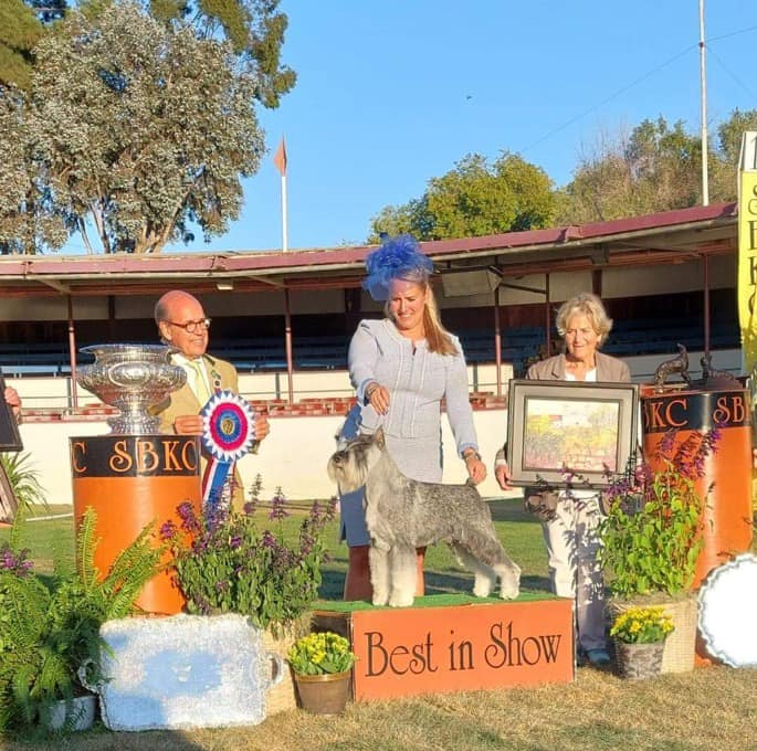 California Dreamin’